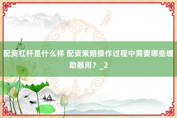 配资杠杆是什么样 配资索赔操作过程中需要哪些缓助器用？_2